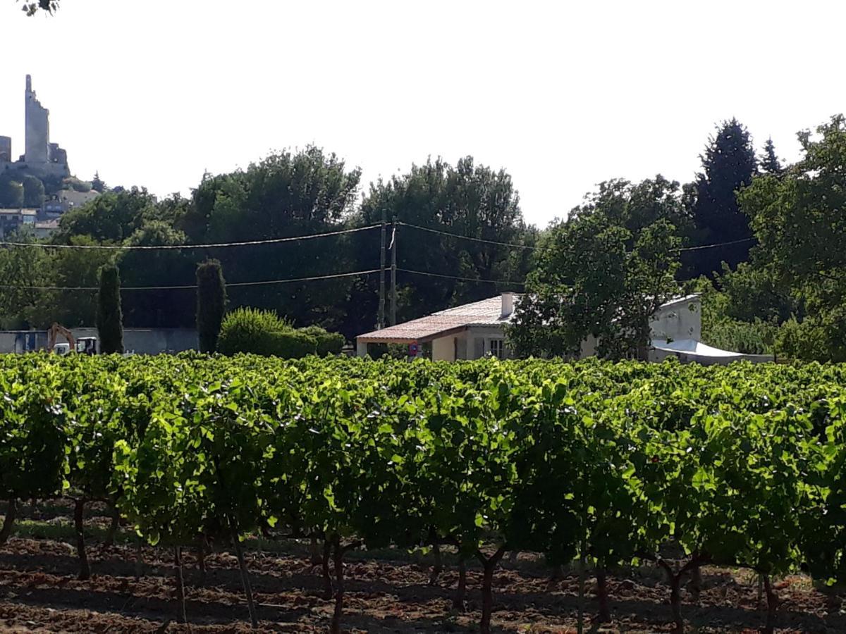La Petite Maison Dans Les Vignes Chamaret Ngoại thất bức ảnh