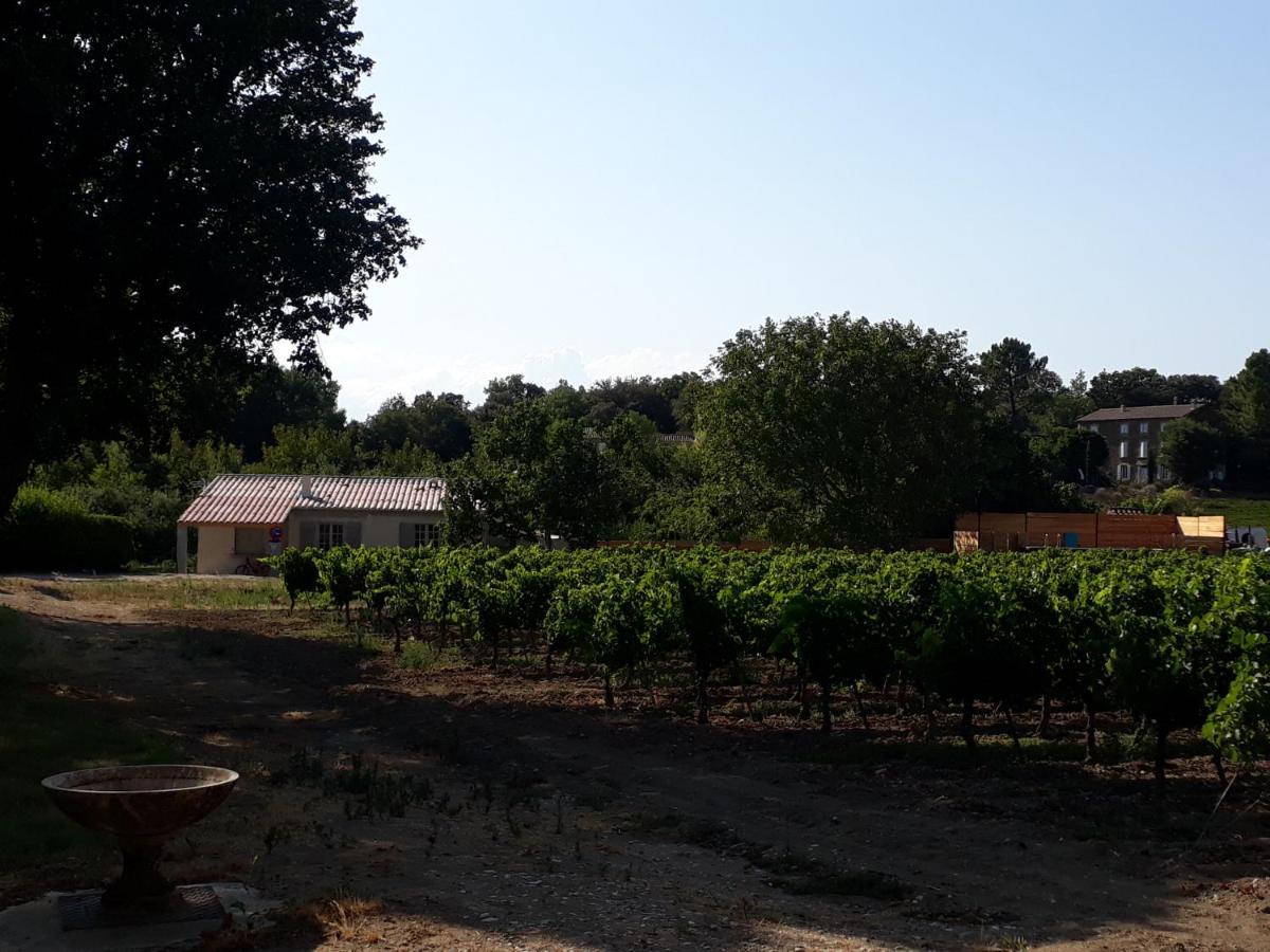 La Petite Maison Dans Les Vignes Chamaret Ngoại thất bức ảnh